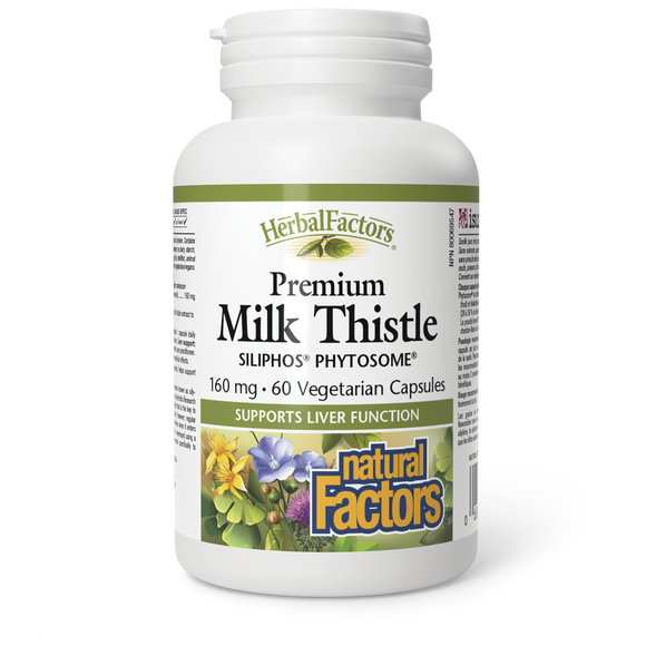 MILK THISTLE SILIPHOS PHYTOSOME 160 MG 60 CAPS NATURAL FACTORS