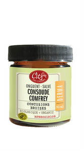 SALVE COMFREY BRUISES ORGANIC 50 ML CHEF DES CHAMPS