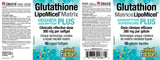 GLUTATHIONE LIPOMICEL MATRIX 300 MG 90 GELS NATURAL FACTORS