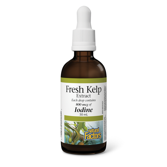 KELP EXTRACT IODINE 800 MCG 50 ML NATURAL FACTORS