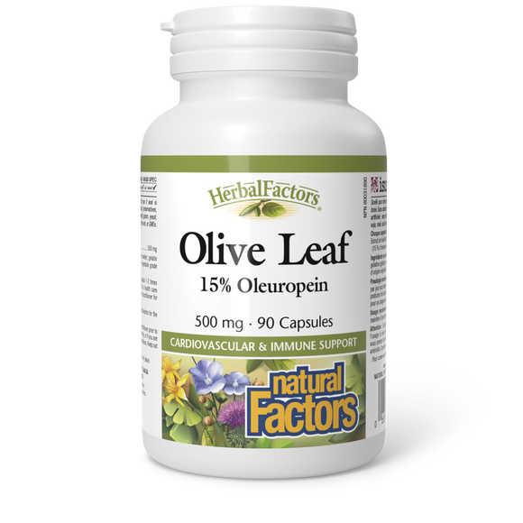 OLIVE LEAF 500 MG 90 CAPS NATURAL FACTORS