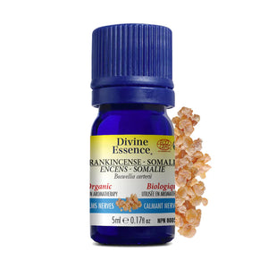 FRANKINCENSE  SOMALIA ORGANIC 5 ML DIVINE ESSENCE