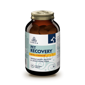 PET RECOVERY EXTRA STRENGTH 60 CHEWS PURICA