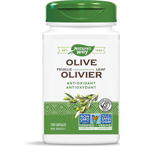 OLIVE LEAF 500 MG 100 CAPS NATURE'S WAY